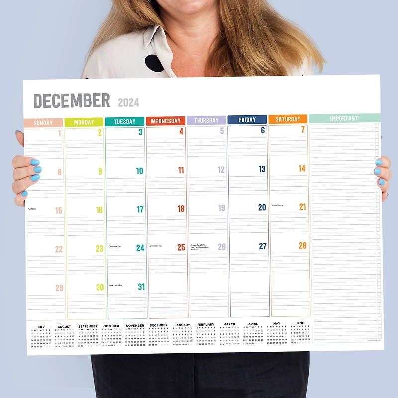 TF Publishing 2024-2025 Large Rainbow Blocks Desk Pad Calendar