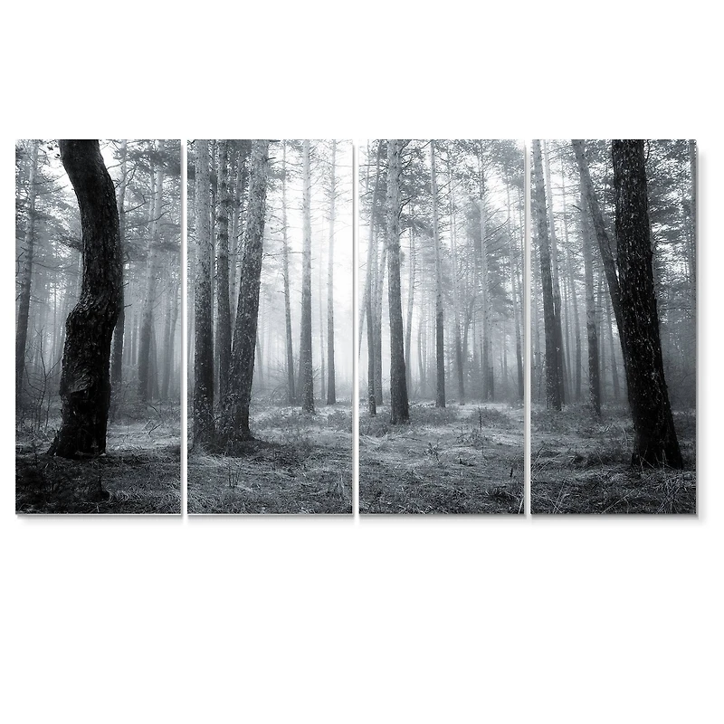 Designart - Black and White Foggy Forest