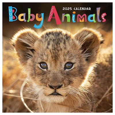 TF Publishing 2025 Baby Animals Wall Calendar