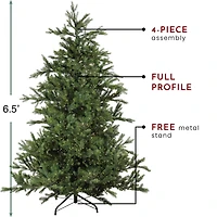 6.5ft. Pre-Lit Real Touch™️ Oregon Noble Fir Artificial Christmas Tree, Warm White LED Lights