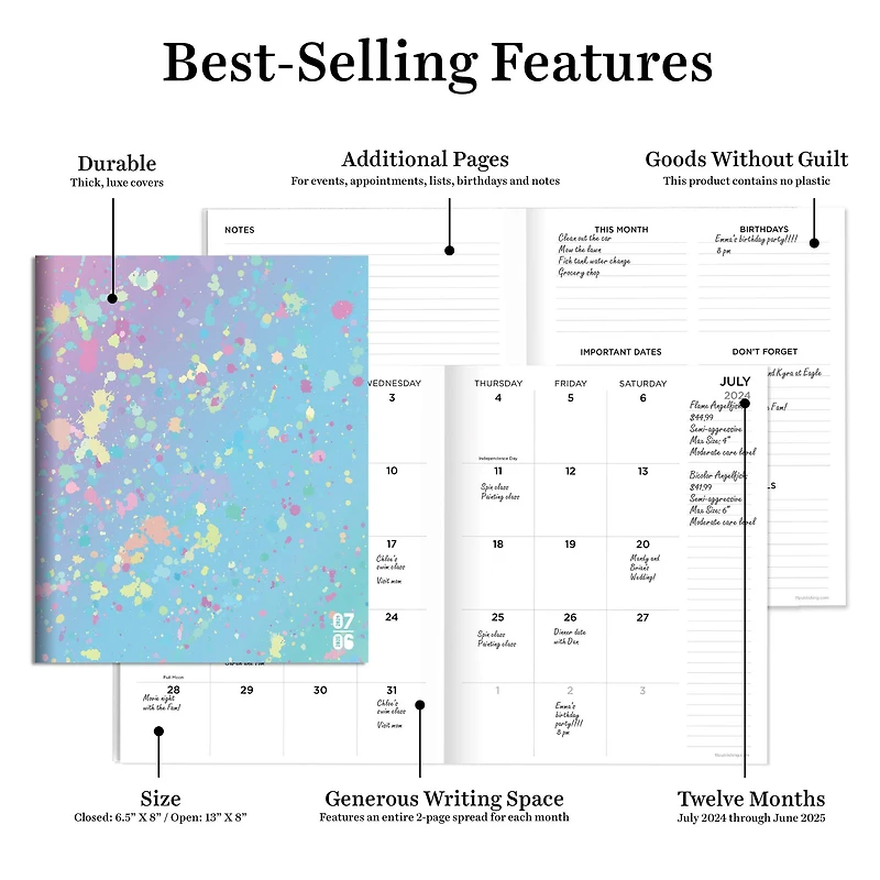 TF Publishing 2024-2025 Medium Paint Splatter Monthly Planner