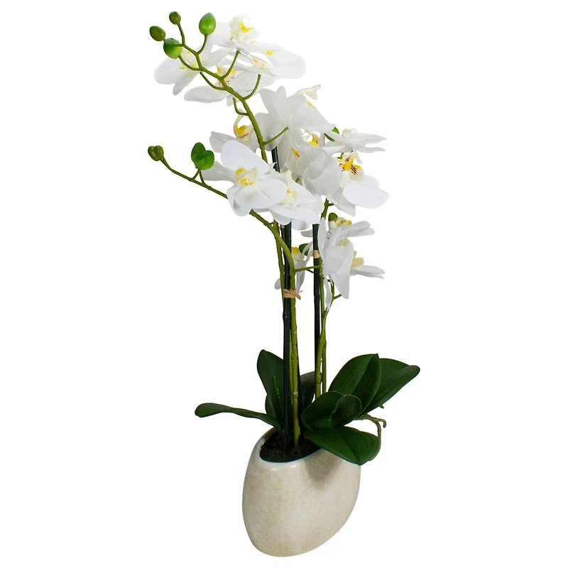 22" White Orchid Plant in White Oval Pot