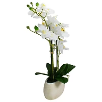 22" White Orchid Plant in White Oval Pot