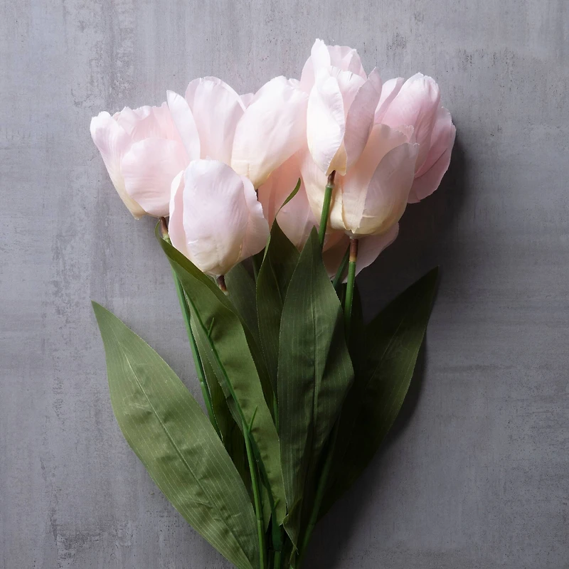 Pink Tulip Bush by Ashland®