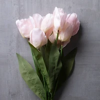 Pink Tulip Bush by Ashland®