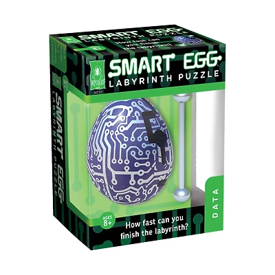 Smart Egg® Data Labyrinth Puzzle