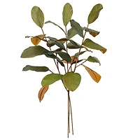 Artificial Green Magnolia Spray, 3ct.