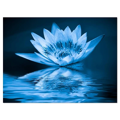 Designart - Blue Water Lily