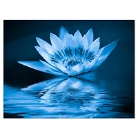 Designart - Blue Water Lily