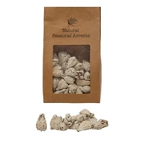 Hello Honey® 12oz. Dried Hala Fruit in Kraft Bag