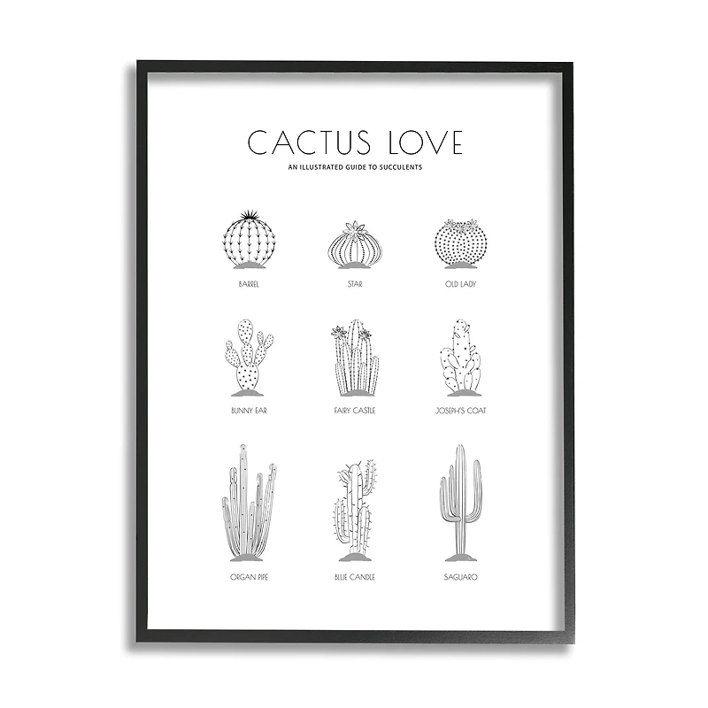 Stupell Industries Illustrated Guide to Succulents Minimal Modern Cactus Plant in Frame Wall Art