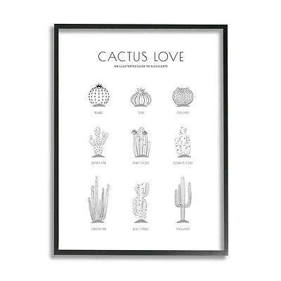 Stupell Industries Illustrated Guide to Succulents Minimal Modern Cactus Plant in Frame Wall Art