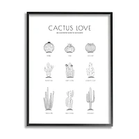 Stupell Industries Illustrated Guide to Succulents Minimal Modern Cactus Plant in Frame Wall Art