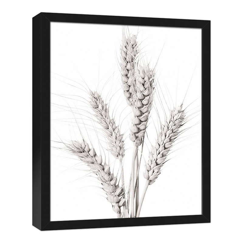 Wheat Photography 16" x 20" Black Framed Canvas