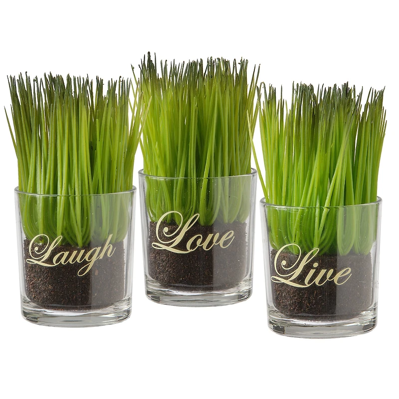 3-Piece Round Sprout-Filled Glass Assortment