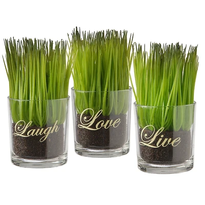 3-Piece Round Sprout-Filled Glass Assortment