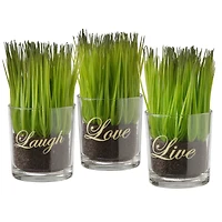 3-Piece Round Sprout-Filled Glass Assortment