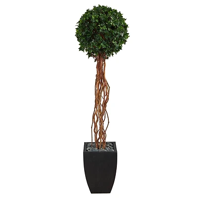 5.5ft. English Ivy Single Ball Artificial Topiary Tree in Black Planter