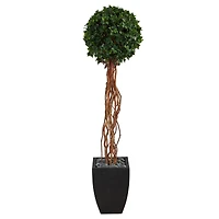 5.5ft. English Ivy Single Ball Artificial Topiary Tree in Black Planter