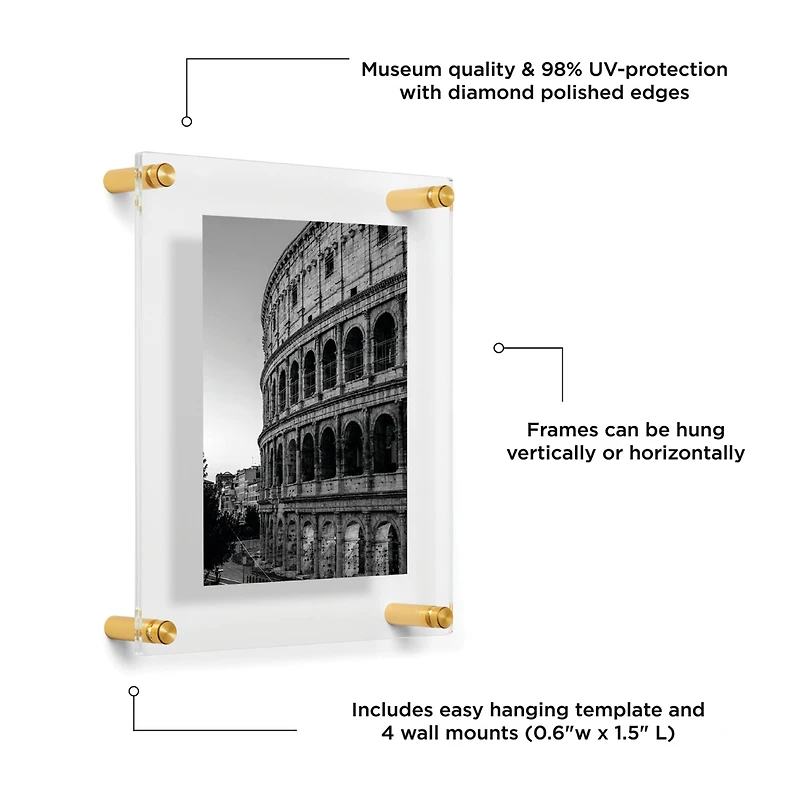 Wexel Art Double Panel Clear Acrylic Floating Wall Frame with Gold Hardware