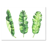 Designart - Tropical Banana Leaves Set