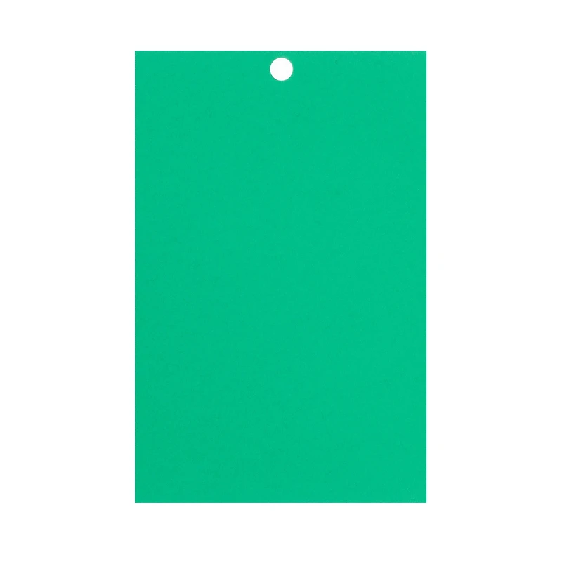 Feathered Green 4.5" x 7" Cardstock Paper by Recollections™, 100 Sheets