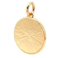 14K Gold Plated Disc Charm by Bead Landing™