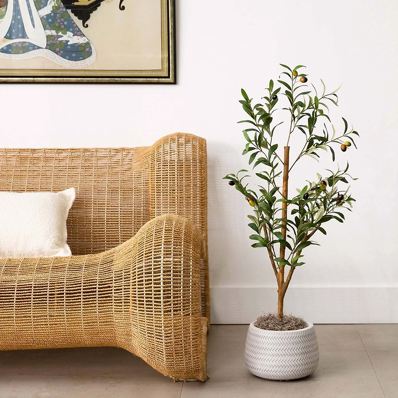 3ft. Potted Artificial Olive Tree with Natural Trunk