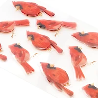Cardinal Dimensional Stickers by Recollections™