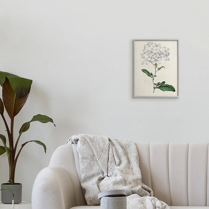 Stupell Industries Rustic Garden Floral Study Charming White Blossoms in Frame Wall Art