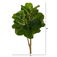 2.5ft. Fiddle Leaf Fig Tree