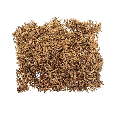 JTT Scenery Products Mini Dry Vines Dead Foliage, 10g