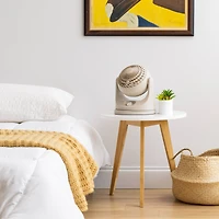 Iris® 11.25" Latte Fan