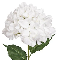 28.5" White Hydrangea Real Touch Stem by Ashland®