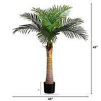 4ft. Potted Coconut Palm Tree