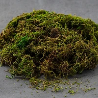 SuperMoss® Preserved Forest Moss