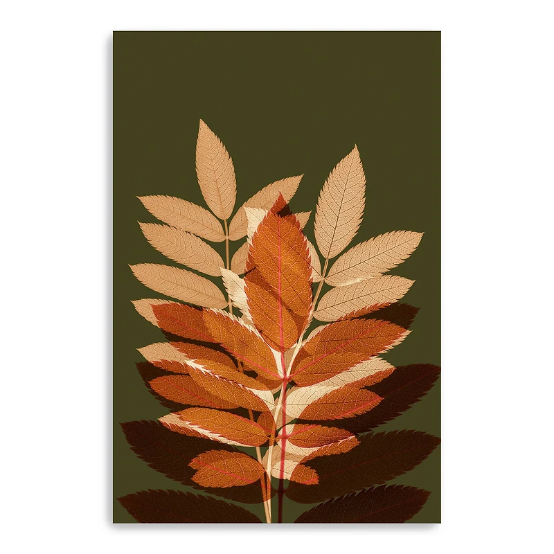Fall Leaves 4 Canvas Giclee