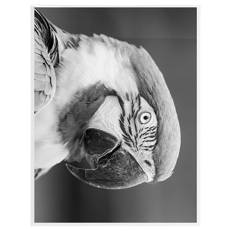 JAM Paper 10" x 13" Clear Cello Sleeve Envelopes, 100ct.