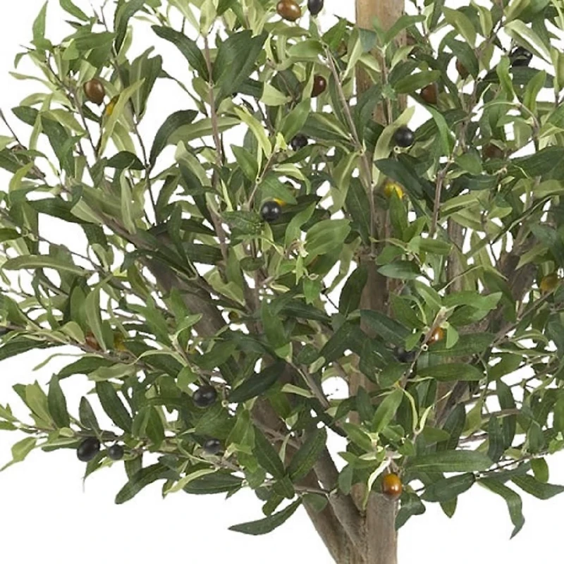 4.5ft. Potted Olive Double Topiary Tree
