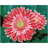 Diamond Dotz® Intermediate Pink Gerberas Diamond Painting Kit