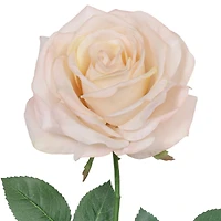 24" Rose Real Touch Stem by Ashland