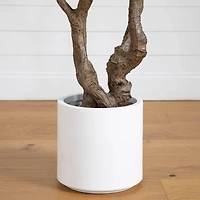 6ft. Artificial Grand Olive Tree in White Decorative Planter