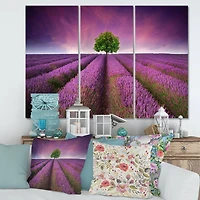 Designart - Stunning Lavender Field Summer Sunset With Tree