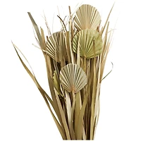 40" Green Dried Plant Bouquet Grass Natural Foliage with Fan Like Palm Leaves
