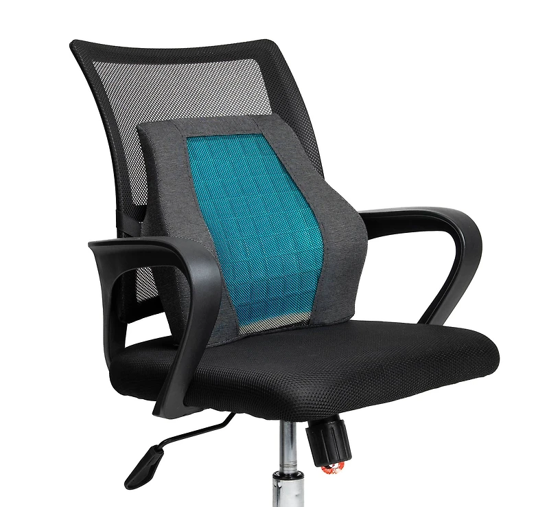 Mind Reader Teal & Black Ergonomic Back Cushion
