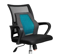 Mind Reader Teal & Black Ergonomic Back Cushion