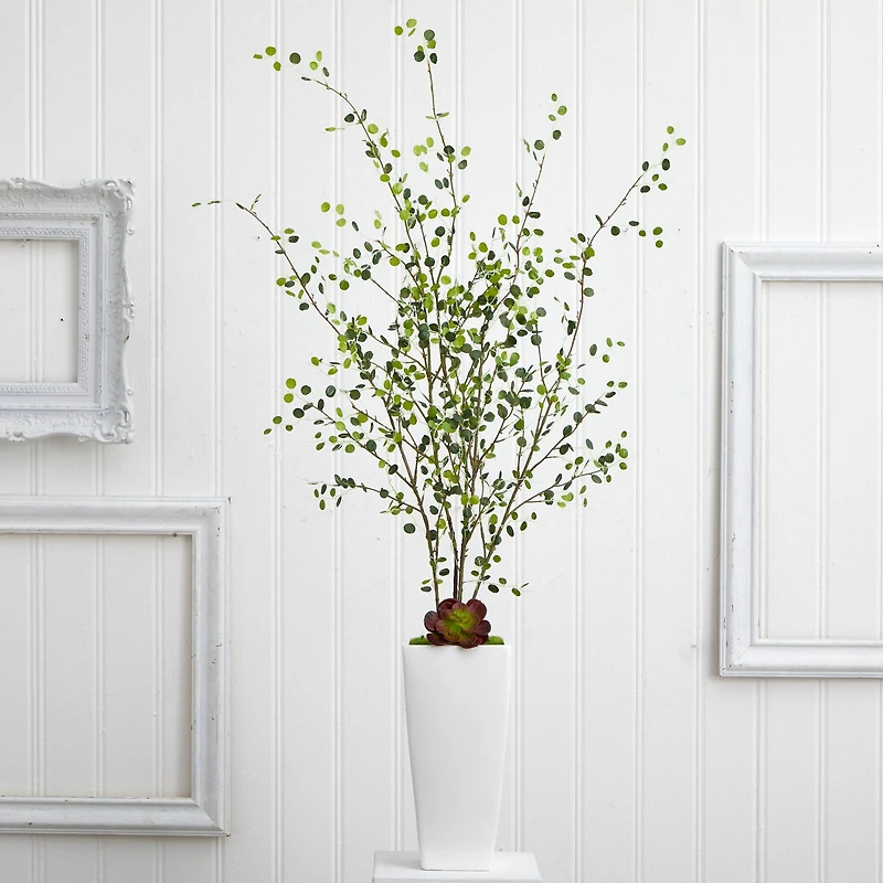 4ft. Night Willow in White Planter