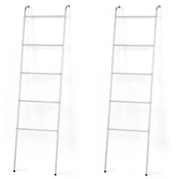 NEX™ Silver Blanket Ladder Set