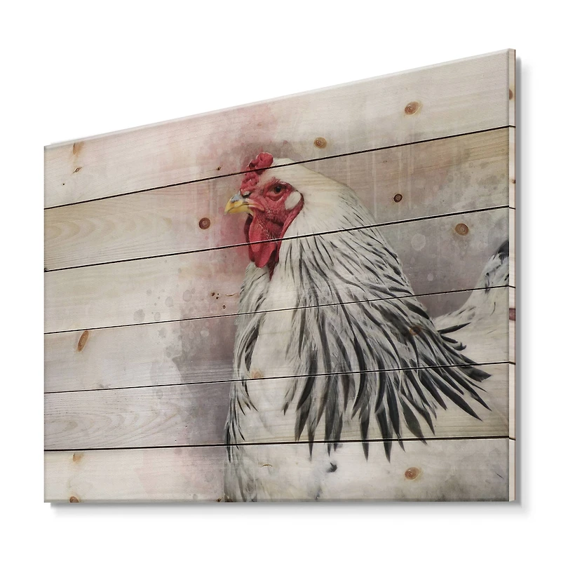 Designart - White Columbia Brahma Rooster Bird