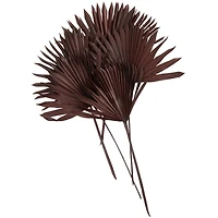 Dark Brown Sun Palm Spear Leaf Foliage Bundle
